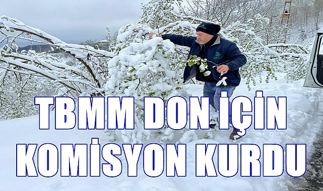 Don Vurdu Meclis Harekete Geçti; Komisyon Fındıkta Yaşanan Donu Araştıracak