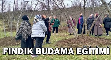 Espiye'de Fındık Üreticisine Fındık Budama Eğitimi