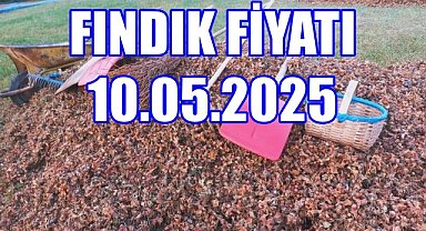 Fındığın Merkezi Ordu'da Fındık Fiyatı
