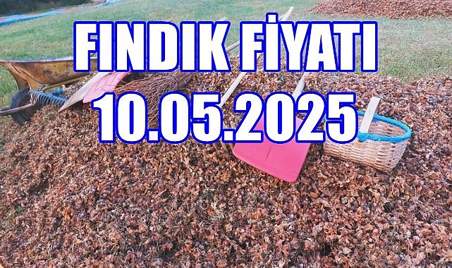 Fındığın Merkezi Ordu&#039;da Fındık Fiyatı