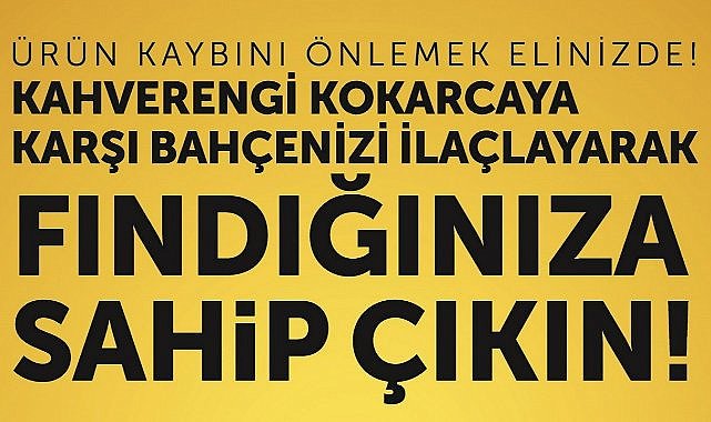 Fındık Bahçelerinde Sessiz Tehlike; İşte Alınması Gereken Önlemler!