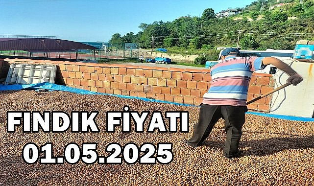 Fındık Fiyatı 1 Mayıs 2025 Perşembe