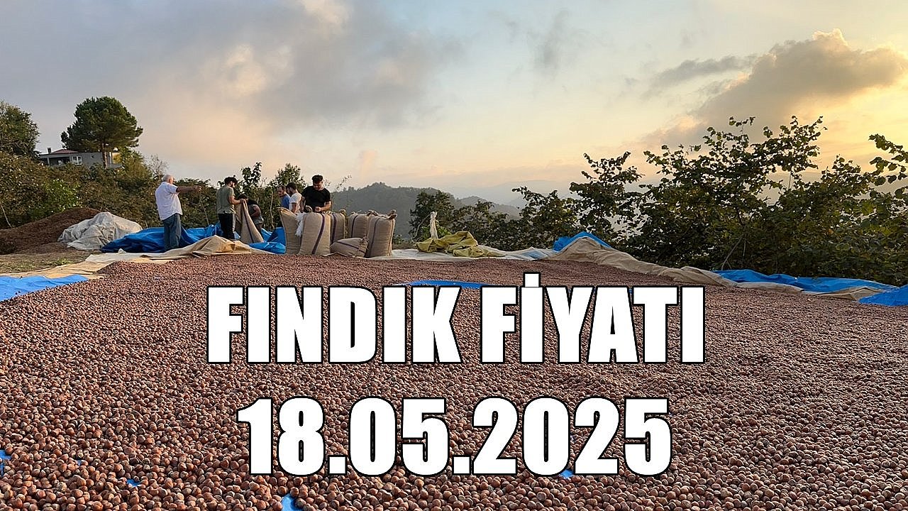 Fındık Fiyatı 18.05.2025