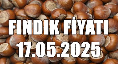 Fındık Fiyatı 180 TL'de Dengelendi