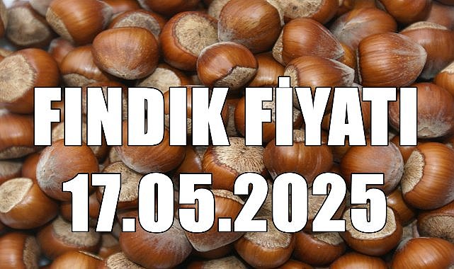Fındık Fiyatı 180 TL&#039;de Dengelendi