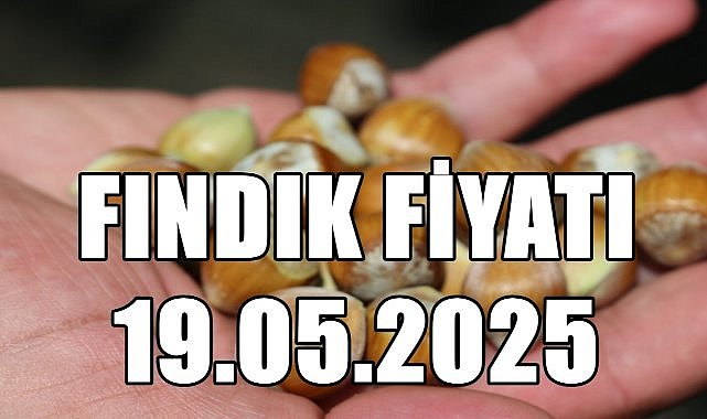 Fındık Fiyatı 19 Mayıs 2025 Pazartesi