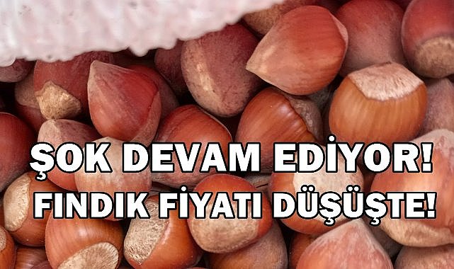 Fındık Fiyatı 2 Günde 20 TL Düştü; Piyasalar Tedirgin Oldu