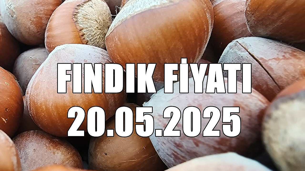 Fındık Fiyatı 20 Mayıs 2025 Salı