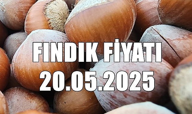 Fındık Fiyatı 20 Mayıs 2025 Salı