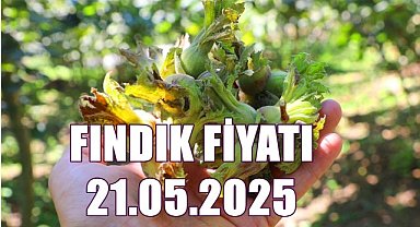 Fındık Fiyatı 21 Mayıs 2025 Çarşamba