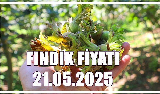 Fındık Fiyatı 21 Mayıs 2025 Çarşamba