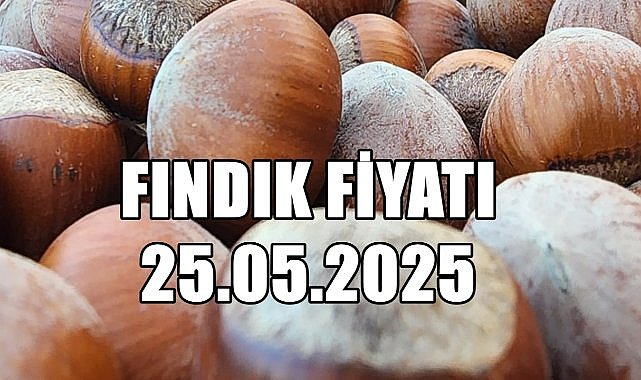 Fındık Fiyatı 25 Mayıs 2025 Pazar