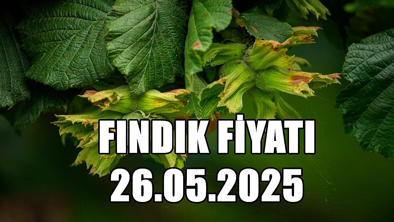 Fındık Fiyatı 26 Mayıs 2025 Pazartesi