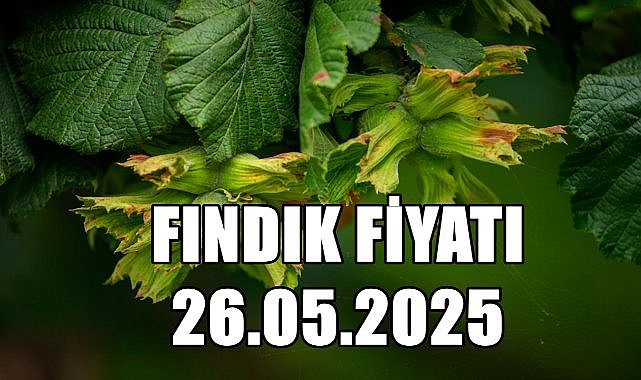 Fındık Fiyatı 26 Mayıs 2025 Pazartesi