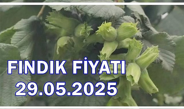 Fındık Fiyatı 29 Mayıs 2025 Perşembe