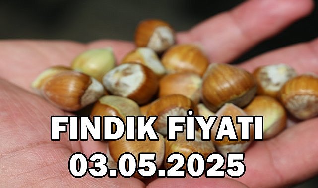 Fındık Fiyatı 3 Mayıs 2025 Cumartesi
