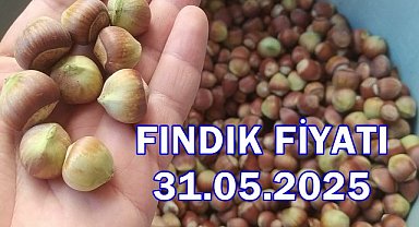 Fındık Fiyatı 31 Mayıs 2025 Cumartesi