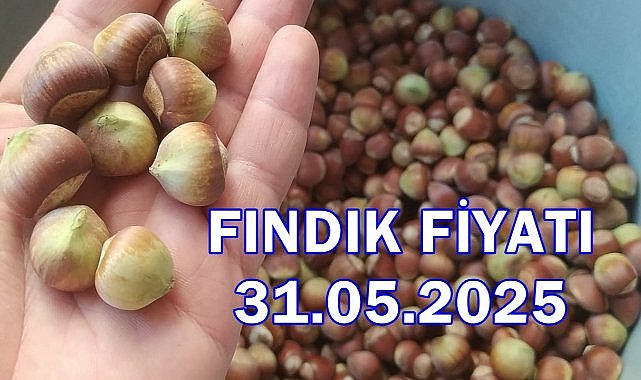 Fındık Fiyatı 31 Mayıs 2025 Cumartesi