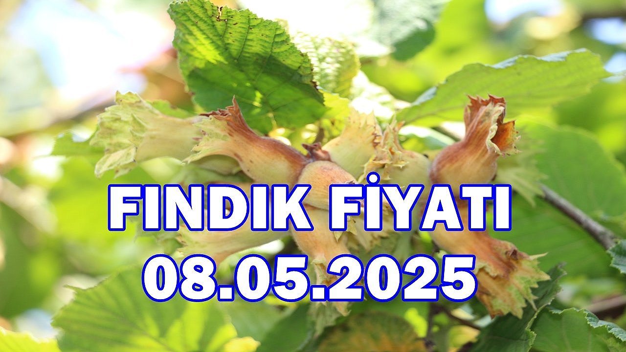 Fındık Fiyatı 8 Mayıs 2025 Perşembe