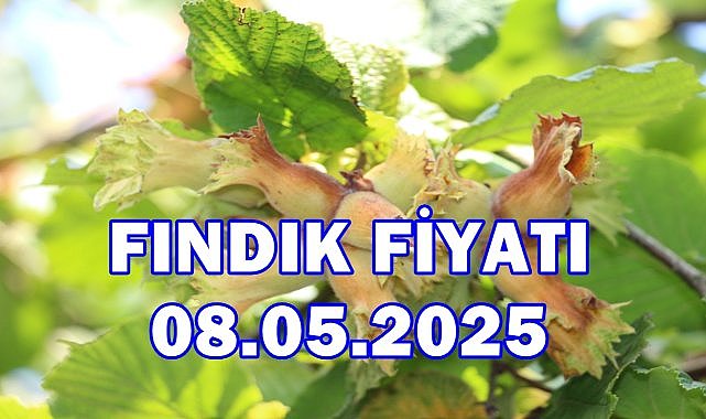 Fındık Fiyatı 8 Mayıs 2025 Perşembe