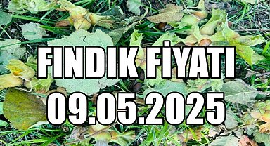 Fındık Fiyatı 9 Mayıs 2025 Cuma