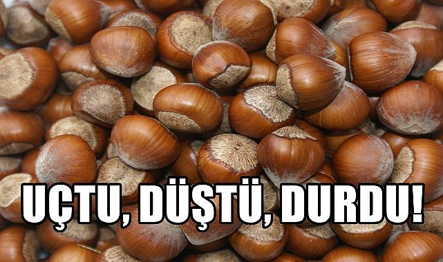 Fındık Fiyatı Uçtu, Düştü, Durdu!