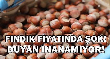 Fındık Fiyatı Uçuşa Geçmişti Tekrar Çakılmaya Başladı