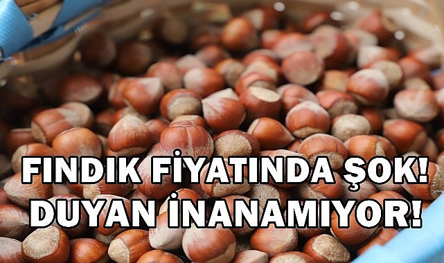 Fındık Fiyatı Uçuşa Geçmişti Tekrar Çakılmaya Başladı