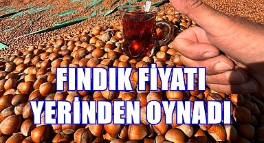 Fındık Fiyatı Yerinden Oynadı; Fiyatlar 10 TL Birden Yükseldi