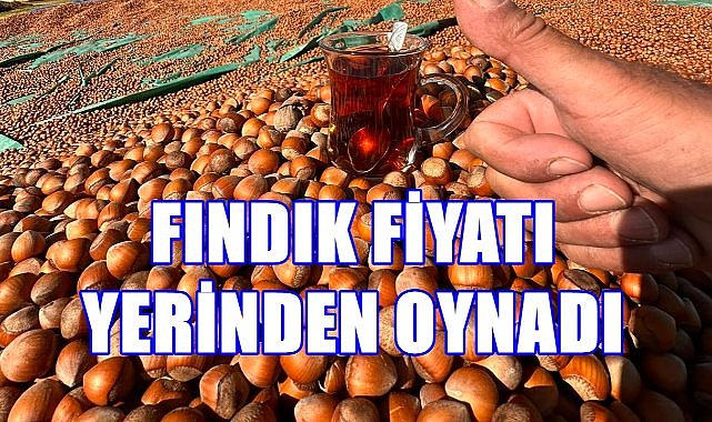 Fındık Fiyatı Yerinden Oynadı; Fiyatlar 10 TL Birden Yükseldi