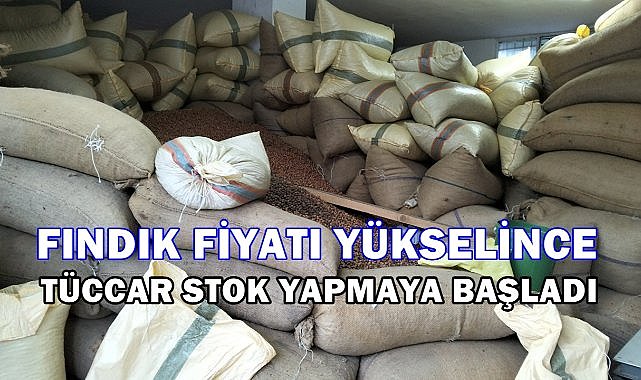 Fındık Fiyatı Yükseldi, Tüccar Stok Yapmaya Başladı