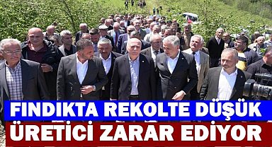 Fındık Rekoltesi Tehlikede; Bayraktar'dan Don ve Kokarca Uyarısı