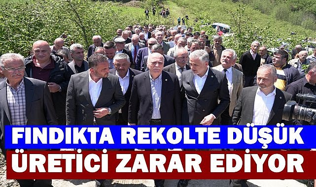 Fındık Rekoltesi Tehlikede; Bayraktar'dan Don ve Kokarca Uyarısı