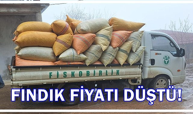 Fındıkta 5 Günlük Kriz; Fındık Fiyatı Neden Düştü!