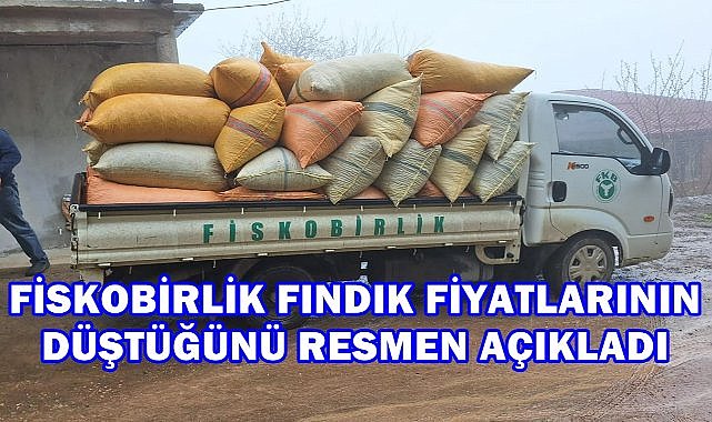 Fiskobirlik Fındık Fiyatlarının Düştüğünü Resmen Açıkladı; İşte Yeni Fındık Fiyatı