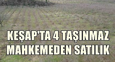 Giresun Keşap'ta 4 Taşınmaz Mahkemeden Satışa Çıktı