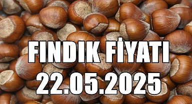 Ordu'da Fındık Fiyatı Geri Çekildi