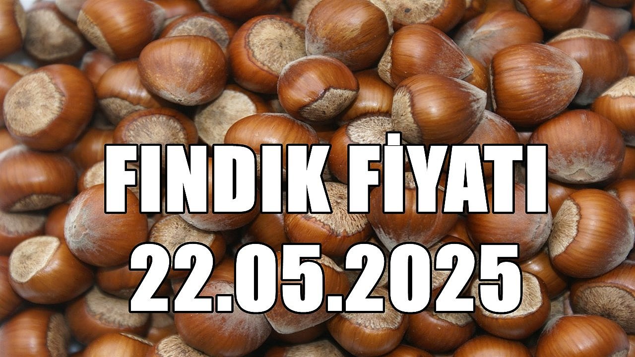 Ordu'da Fındık Fiyatı Geri Çekildi