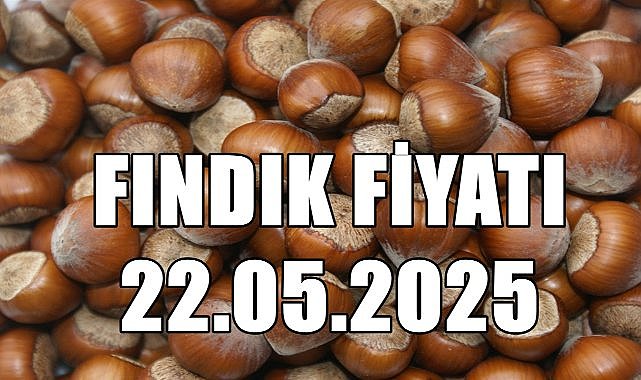 Ordu&#039;da Fındık Fiyatı Geri Çekildi
