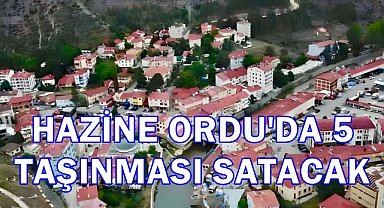 Ordu'da Hazineye Ait 5 Taşınmaz Satışa Çıktı