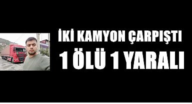 Ordu'da İki Kamyon Kafa Kafaya Çarpıştı