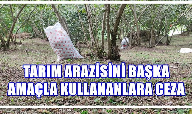 Ordu Valisi Erol'dan Kritik Uyarı; Tarım Arazilerini Başka Amaçla Kullanmak Yasak!