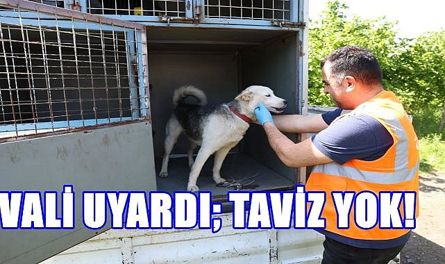 Ordu Valisi Uyardı; Hayvan Hakları İçin Taviz Yok!