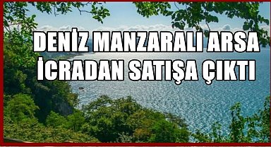 Perşembe'de Deniz Manzaralı Arsa İcradan Satışa Çıkıyor