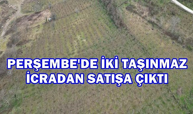 Perşembe&#039;de İki Taşınmaz İcradan Satışa Çıktı!