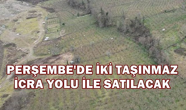 Perşembe&#039;de Taşınmazlar İcra Yolu İle Satışa Çıktı