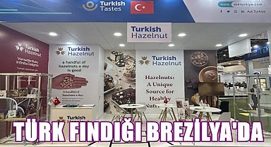 Türk Fındığı Güney Amerika Yolcusu; Brezilyalılar Fındık Tattı
