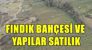 Ulubey'de Fındık Bahçesi ve Üzerindeki Yapılar İcradan Satışa Çıktı