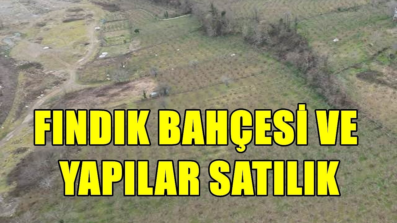 Ulubey'de Fındık Bahçesi ve Üzerindeki Yapılar İcradan Satışa Çıktı