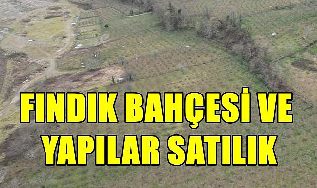 Ulubey&#039;de Fındık Bahçesi ve Üzerindeki Yapılar İcradan Satışa Çıktı